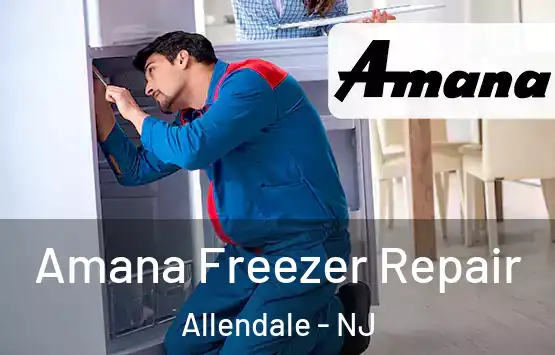  Amana Freezer Repair Allendale - NJ