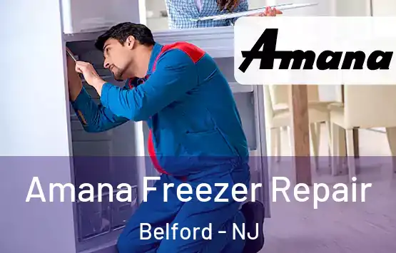  Amana Freezer Repair Belford - NJ