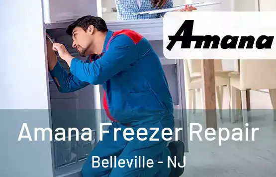  Amana Freezer Repair Belleville - NJ
