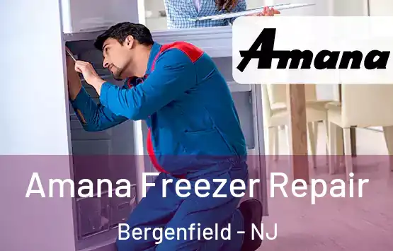  Amana Freezer Repair Bergenfield - NJ