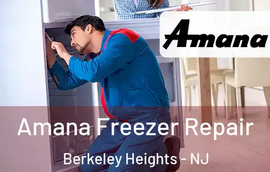  Amana Freezer Repair Berkeley Heights - NJ