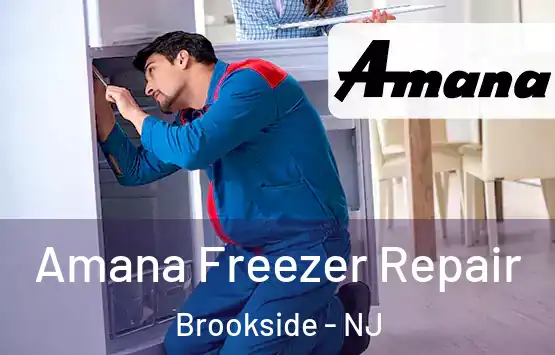  Amana Freezer Repair Brookside - NJ