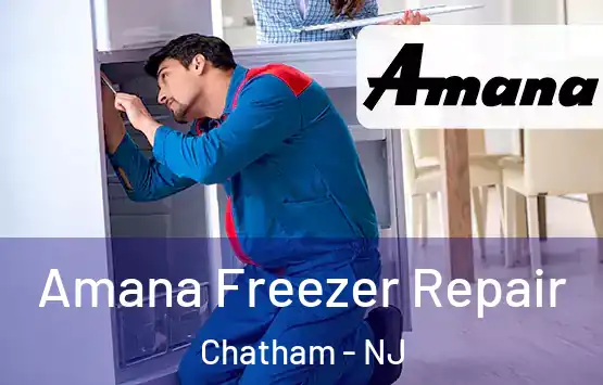  Amana Freezer Repair Chatham - NJ