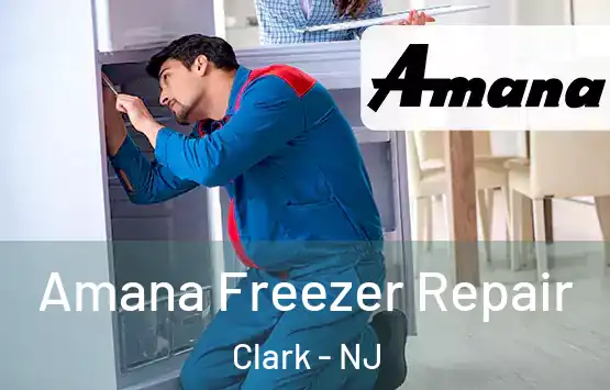  Amana Freezer Repair Clark - NJ