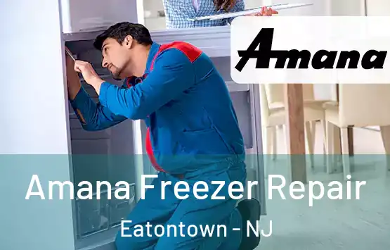  Amana Freezer Repair Eatontown - NJ
