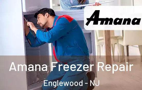  Amana Freezer Repair Englewood - NJ