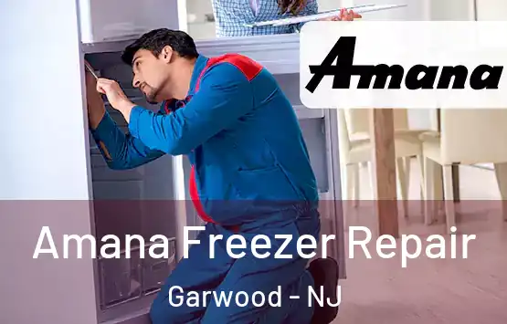  Amana Freezer Repair Garwood - NJ