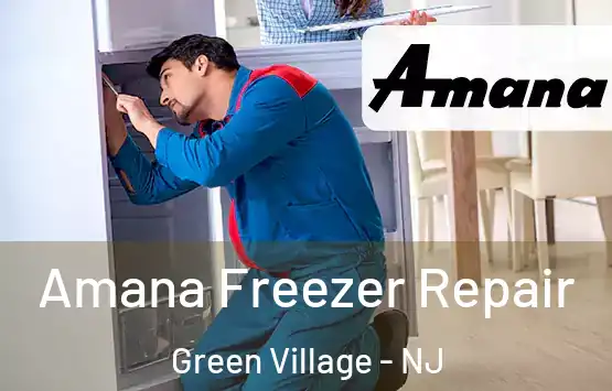  Amana Freezer Repair Green Village - NJ