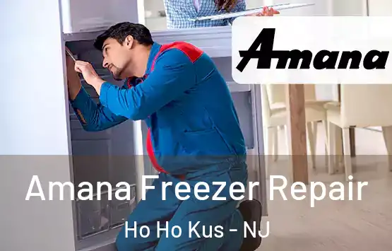  Amana Freezer Repair Ho Ho Kus - NJ