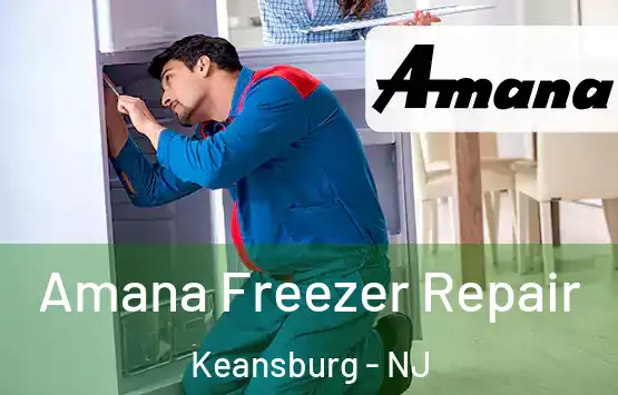  Amana Freezer Repair Keansburg - NJ