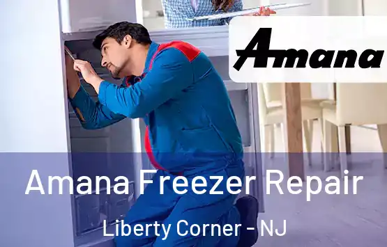  Amana Freezer Repair Liberty Corner - NJ