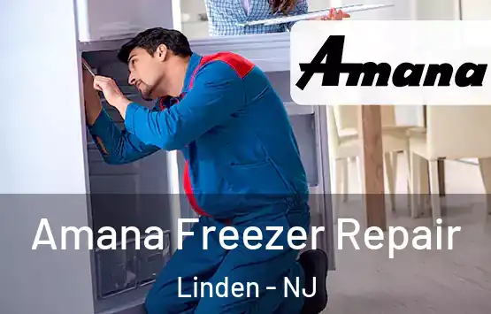  Amana Freezer Repair Linden - NJ