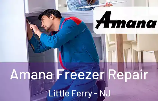  Amana Freezer Repair Little Ferry - NJ