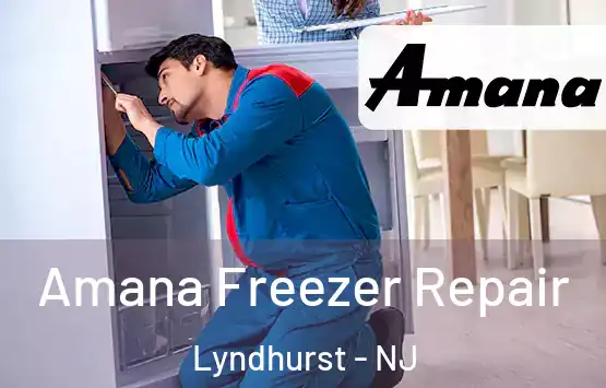  Amana Freezer Repair Lyndhurst - NJ