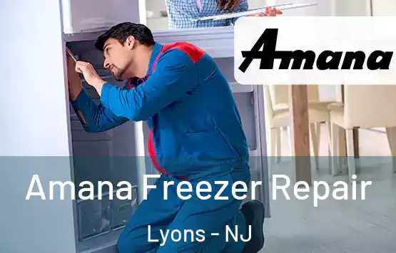  Amana Freezer Repair Lyons - NJ