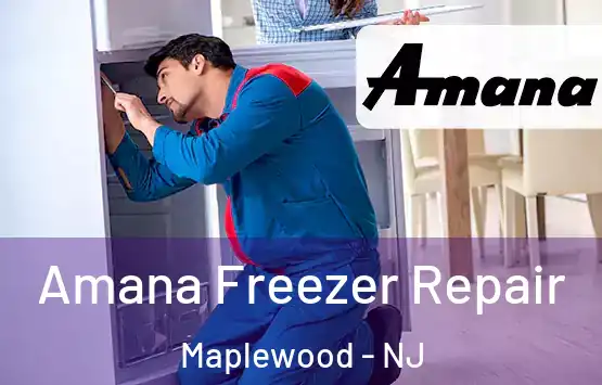  Amana Freezer Repair Maplewood - NJ