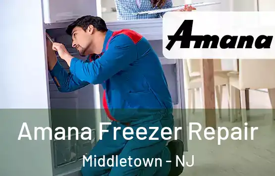  Amana Freezer Repair Middletown - NJ