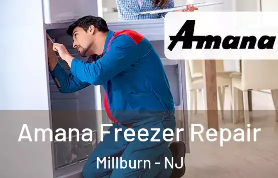  Amana Freezer Repair Millburn - NJ