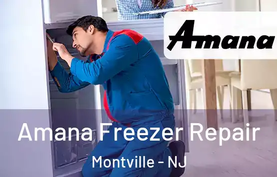  Amana Freezer Repair Montville - NJ
