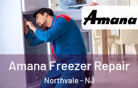  Amana Freezer Repair Northvale - NJ