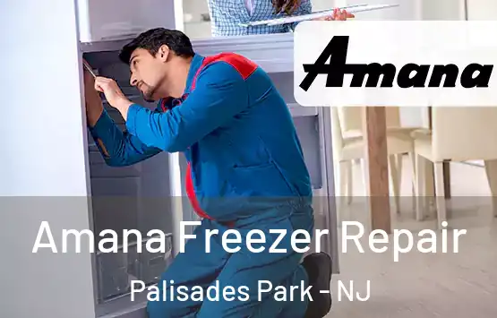 Amana Freezer Repair Palisades Park - NJ