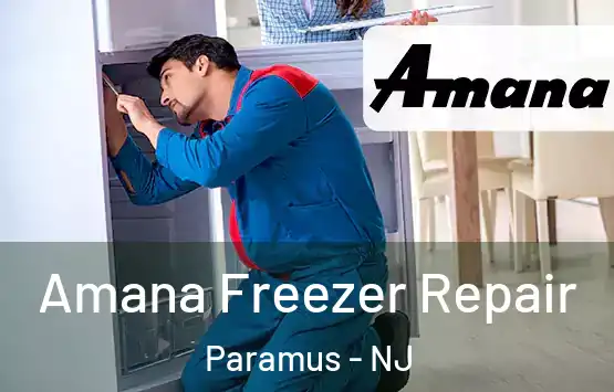  Amana Freezer Repair Paramus - NJ