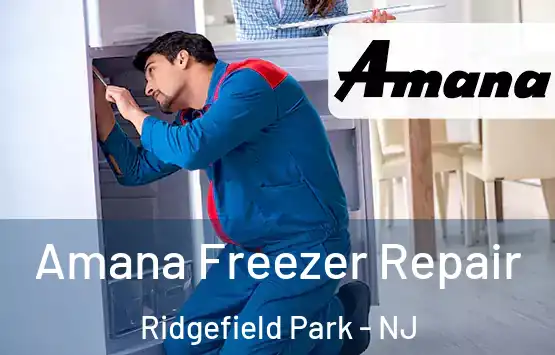  Amana Freezer Repair Ridgefield Park - NJ