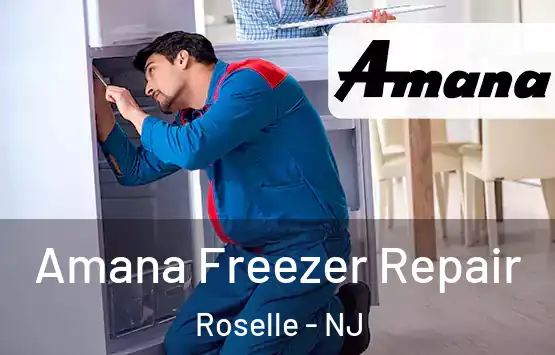  Amana Freezer Repair Roselle - NJ