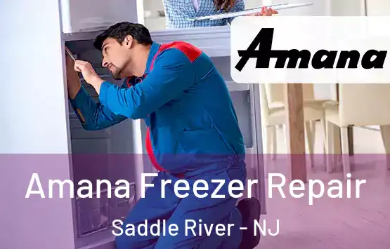  Amana Freezer Repair Saddle River - NJ