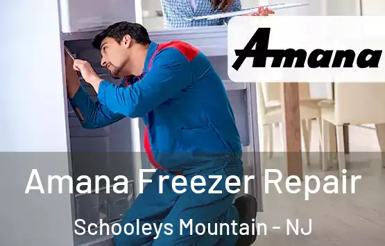  Amana Freezer Repair Schooleys Mountain - NJ