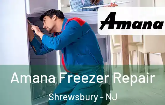  Amana Freezer Repair Shrewsbury - NJ