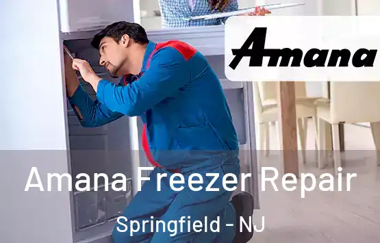  Amana Freezer Repair Springfield - NJ