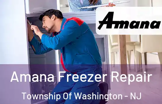  Amana Freezer Repair Township Of Washington - NJ