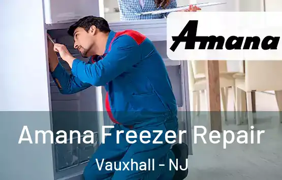  Amana Freezer Repair Vauxhall - NJ