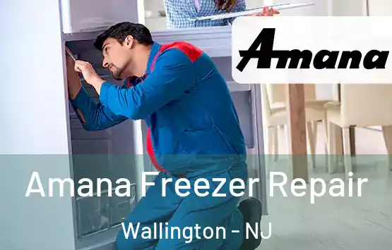  Amana Freezer Repair Wallington - NJ