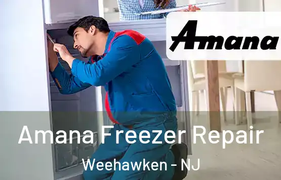  Amana Freezer Repair Weehawken - NJ