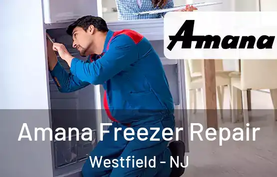  Amana Freezer Repair Westfield - NJ