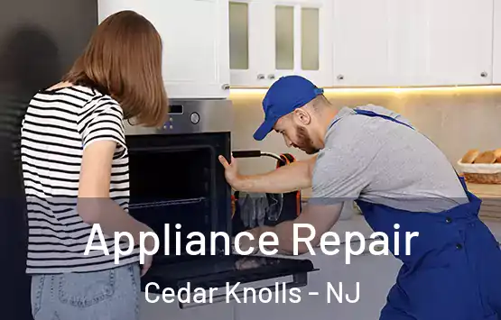  Appliance Repair Cedar Knolls - NJ