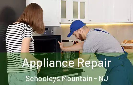 Appliance Repair Schooleys Mountain - NJ