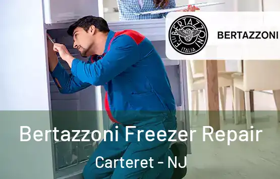  Bertazzoni Freezer Repair Carteret - NJ