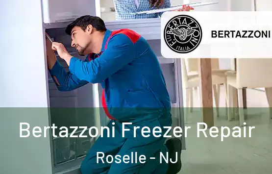  Bertazzoni Freezer Repair Roselle - NJ