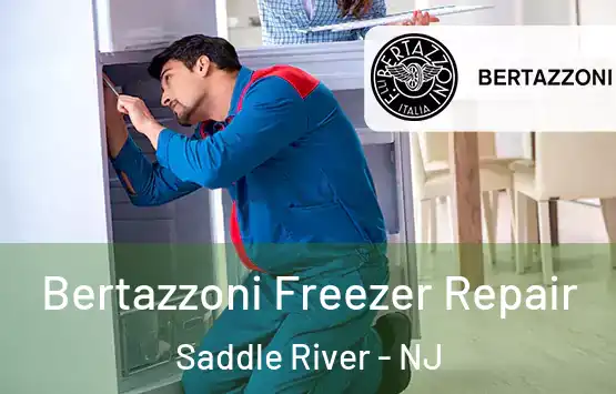  Bertazzoni Freezer Repair Saddle River - NJ