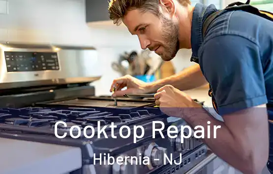  Cooktop Repair Hibernia - NJ