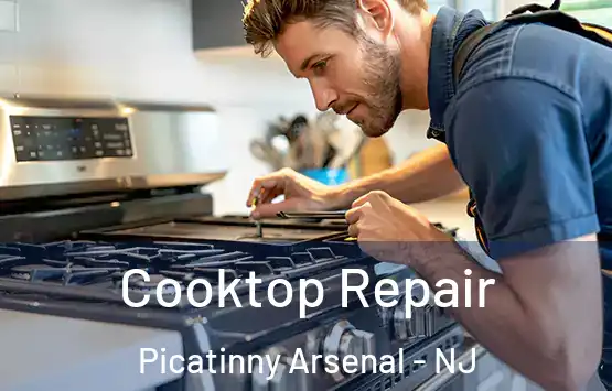  Cooktop Repair Picatinny Arsenal - NJ