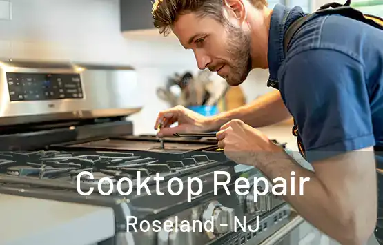 Cooktop Repair Roseland - NJ