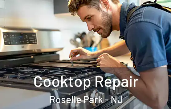  Cooktop Repair Roselle Park - NJ