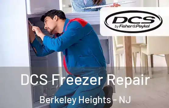  DCS Freezer Repair Berkeley Heights - NJ