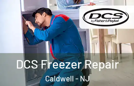  DCS Freezer Repair Caldwell - NJ