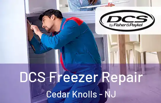  DCS Freezer Repair Cedar Knolls - NJ