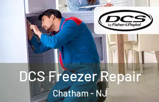  DCS Freezer Repair Chatham - NJ